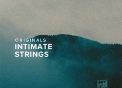 Spitfire Audio Originals: Intimate       Strings